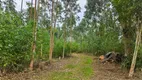 Foto 21 de Fazenda/Sítio com 3 Quartos à venda, 150m² em Areia Branca dos Assis, Mandirituba