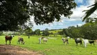 Foto 4 de Fazenda/Sítio com 4 Quartos à venda, 72600m² em Zona Rural, Cajuru