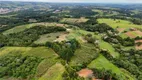 Foto 3 de Fazenda/Sítio com 3 Quartos à venda, 20000m² em Centro, Piedade