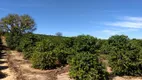 Foto 13 de Fazenda/Sítio com 5 Quartos à venda, 200000m² em Lavrinha, Pinhalão