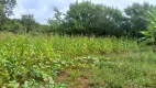 Foto 20 de Fazenda/Sítio à venda, 60000m² em Ponte Alta Norte, Brasília