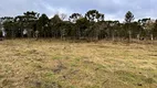 Foto 8 de Lote/Terreno à venda, 20000m² em , Urubici