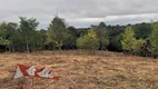 Foto 19 de Fazenda/Sítio com 1 Quarto à venda, 5000m² em Colonia Marcelino, São José dos Pinhais