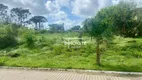 Foto 5 de Lote/Terreno à venda, 503m² em Palmares, Ivoti