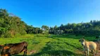 Foto 8 de Fazenda/Sítio à venda, 20000m² em Itapeti, Guararema