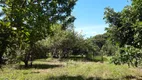 Foto 24 de Fazenda/Sítio com 3 Quartos à venda, 195m² em Centro, Antônio Carlos