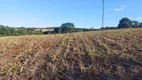 Foto 7 de Fazenda/Sítio à venda, 48000m² em Zona Rural, São Miguel do Passa Quatro