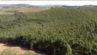 Foto 4 de Fazenda/Sítio à venda, 100000m² em Centro, Seritinga