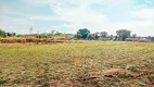 Foto 4 de Lote/Terreno à venda, 20000m² em Ponte Alta, Jarinu