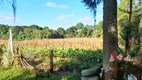 Foto 4 de Fazenda/Sítio com 1 Quarto à venda, 6000m² em Colônia Malhada, São José dos Pinhais