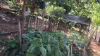 Foto 27 de Fazenda/Sítio com 3 Quartos à venda, 270m² em Barreiro Rural, Taubaté