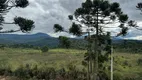 Foto 11 de Fazenda/Sítio à venda, 20000m² em Urubici, Urubici