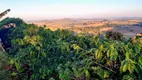 Foto 5 de Lote/Terreno com 1 Quarto à venda, 5000m² em Centro, Turvolândia