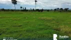 Foto 5 de Fazenda/Sítio à venda, 1000m² em Zona Rural, Arapoema