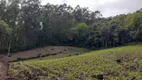 Foto 6 de Lote/Terreno à venda, 17343m² em , Carlos Barbosa