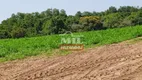 Foto 6 de Fazenda/Sítio à venda em Zona Rural , Cachoeira Alta