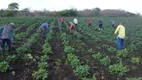 Foto 3 de Fazenda/Sítio com 3 Quartos à venda, 44900m² em Zona Rural, Pedro Velho