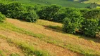 Foto 27 de Fazenda/Sítio à venda, 7600000m² em Zona Rural, Santo Antônio do Amparo