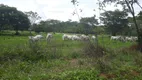 Foto 7 de Fazenda/Sítio à venda, 20000m² em Zona Rural, Araçaí