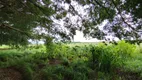 Foto 8 de Fazenda/Sítio à venda, 40000m² em Nucleo Rural Lago Oeste, Brasília