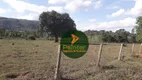 Foto 11 de Fazenda/Sítio com 2 Quartos à venda, 508200m² em Zona Rural, Trindade