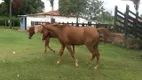 Foto 3 de Fazenda/Sítio com 2 Quartos à venda, 270m² em Bonfim do Arari, Arari