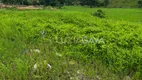 Foto 9 de Lote/Terreno à venda, 12000m² em Parque Industrial, Viana