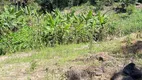 Foto 4 de Fazenda/Sítio à venda em Lumiar, Nova Friburgo