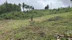 Foto 3 de Fazenda/Sítio com 1 Quarto à venda, 40m² em Centro, Bocaiúva do Sul