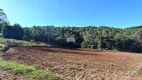 Foto 7 de Fazenda/Sítio à venda, 30000m² em Zona Rural, Pato Branco