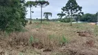 Foto 2 de Fazenda/Sítio com 1 Quarto à venda, 6000m² em Campo Largo da Roseira, São José dos Pinhais