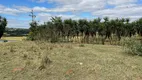 Foto 4 de Lote/Terreno para alugar, 21000m² em Vila Azul Zona Rural, São José do Rio Preto