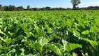 Foto 11 de Fazenda/Sítio com 6 Quartos à venda, 1200m² em RANCHO TRÊS LAGOAS, Igarapé