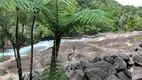 Foto 32 de Fazenda/Sítio com 4 Quartos à venda, 5000m² em Rio das Antas, Angelina