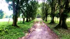 Foto 5 de Fazenda/Sítio com 4 Quartos à venda, 170000m² em Zona Rural, Cachoeiras de Macacu