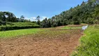 Foto 4 de Lote/Terreno à venda, 111000m² em , 