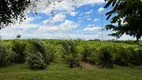 Foto 20 de Fazenda/Sítio com 5 Quartos à venda, 484000m² em Centro, Pariquera-Açu