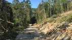 Foto 7 de Lote/Terreno à venda, 55000m² em Vale do Rio Cai, Nova Petrópolis