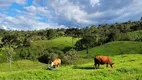 Foto 3 de Fazenda/Sítio com 1 Quarto à venda, 40000m² em , Rio Rufino