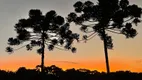 Foto 11 de Lote/Terreno à venda, 100000m² em Bateias de Baixo, Campo Alegre