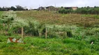 Foto 2 de Fazenda/Sítio com 2 Quartos à venda, 6000m² em Colônia Malhada, São José dos Pinhais