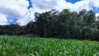 Foto 5 de Fazenda/Sítio à venda, 650000m² em Zona Rural, Campo Alegre de Goiás