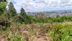 Foto 3 de Lote/Terreno à venda, 380m² em Belvedere, Belo Horizonte