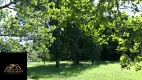 Foto 5 de Fazenda/Sítio à venda em Agrobrasil, Cachoeiras de Macacu