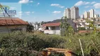 Foto 3 de Lote/Terreno à venda, 490m² em Vila Antonina, São Paulo