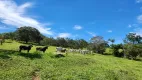 Foto 24 de Fazenda/Sítio à venda, 1113200m² em Setor Central , Bela Vista de Goiás