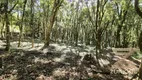 Foto 8 de Lote/Terreno à venda, 1000m² em Vila Natal, Campos do Jordão