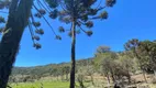 Foto 4 de Lote/Terreno à venda em Zona Rural, Urubici