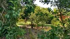 Foto 20 de Fazenda/Sítio à venda, 5000m² em Loteamento Arace de Santo Antonio I, São Carlos