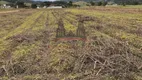 Foto 17 de Fazenda/Sítio com 1 Quarto à venda, 25000m² em , Antônio Carlos